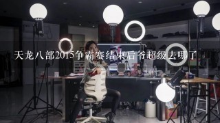 天龙八部2015争霸赛结束后爷超级去哪了