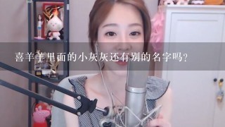 喜羊羊里面的小灰灰还有别的名字吗？