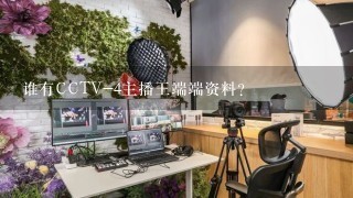 谁有CCTV-4主播王端端资料？