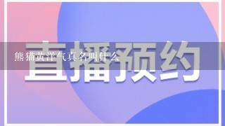 熊猫黄洋气真名叫什么