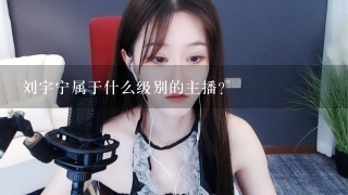 刘宇宁属于什么级别的主播？