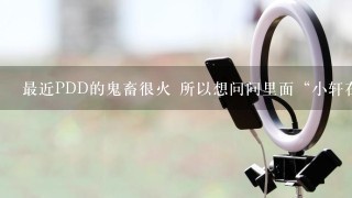 最近PDD的鬼畜很火 所以想问问里面“小轩在不在 我