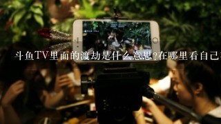 斗鱼TV里面的渡劫是什么意思?在哪里看自己在主播房间的级别？