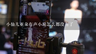 小仙儿亚朵有声小说怎么都没有了